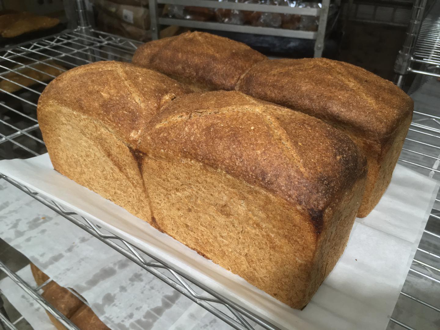 100% Whole Wheat Sourdough