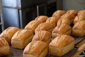 Rustic Sourdough Bread